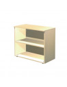 Cabinet with 1 adjustable shelf aca1101002